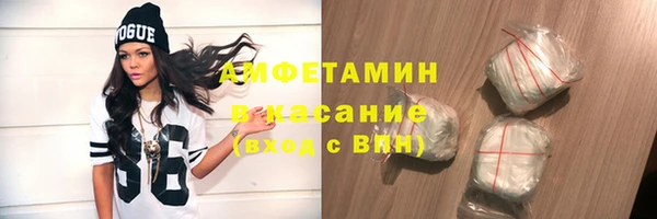 гашик Пестово