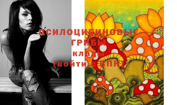 гашиш Вяземский