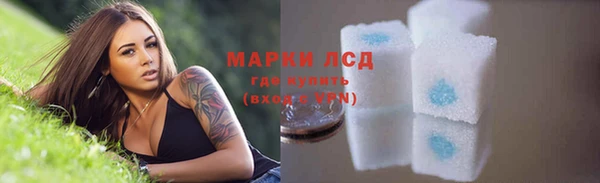 стаф Володарск