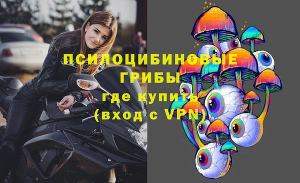 стаф Володарск