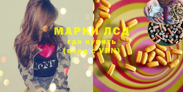 гашик Пестово