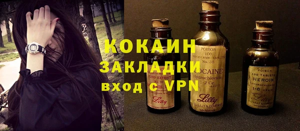 винт Верея